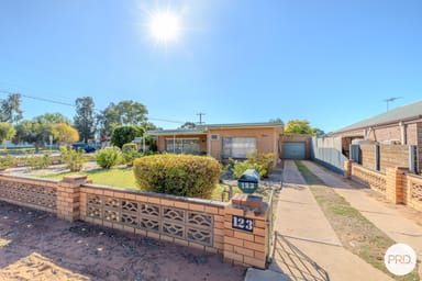 Property 123 Commercial Street, MERBEIN VIC 3505 IMAGE 0