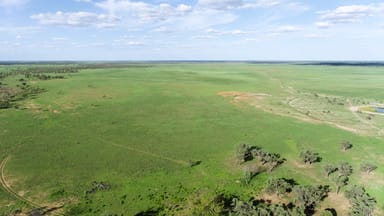 Property North Harriman Balonne Highway, Cunnamulla QLD 4490 IMAGE 0