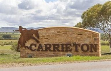 Property 201, West Terrace, Carrieton SA 5432 IMAGE 0