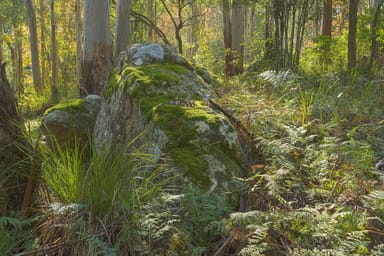 Property 273 Will O Wyn Road, Murrays Run NSW  IMAGE 0