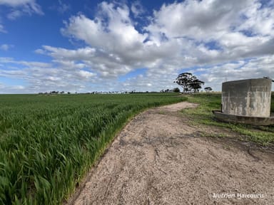 Property "Browns" Chandler-Merredin Road, BURRACOPPIN WA 6421 IMAGE 0