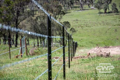 Property 11, Ten Mile Rd, DEEPWATER NSW 2371 IMAGE 0