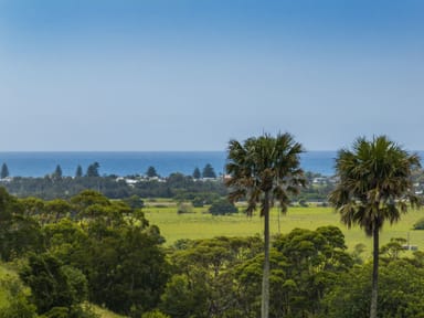 Property Lot 3001- Hill Block Rose Valley Road, ROSE VALLEY NSW 2534 IMAGE 0