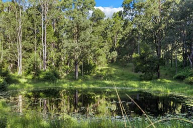 Property Lot 62-69 Duck Creek Road, Old Bonalbo NSW 2469 IMAGE 0