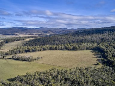 Property Lot 1, 233 Ferndale Road, BICHENO TAS 7215 IMAGE 0