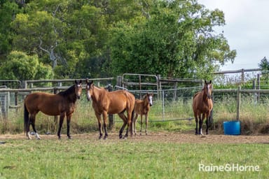 Property 19 Chambers Road, Nairne SA 5252 IMAGE 0