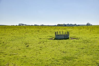 Property 91, Riddoch Highway, MINGBOOL SA 5291 IMAGE 0