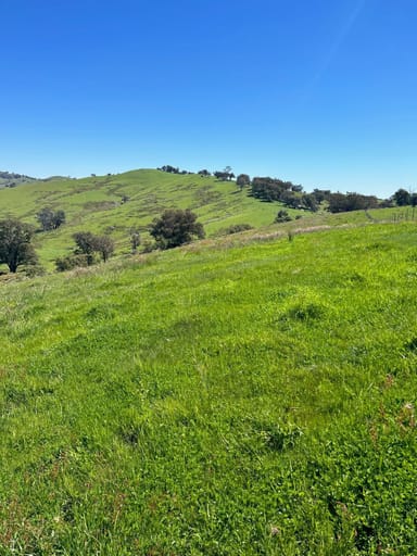 Property CA 6 of 858 Sirls Road, JARVIS CREEK VIC 3700 IMAGE 0