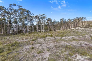 Property 1B Forest Heights Drive, Tugrah TAS 7310 IMAGE 0