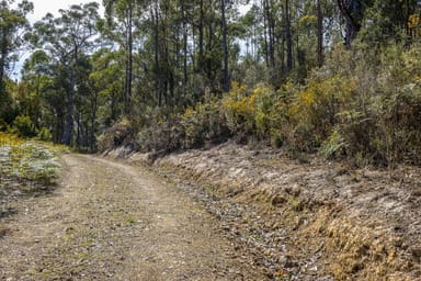 Property Lot 1, Huon Highway, SURGES BAY TAS 7116 IMAGE 0