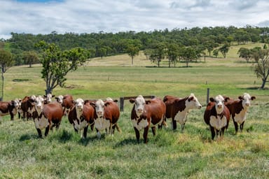 Property 865 Upper Spring Creek Road, Spring Creek QLD 4361 IMAGE 0