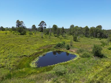 Property 465 Ellangowan Myrtle Creek Road, Ellangowan NSW 2470 IMAGE 0