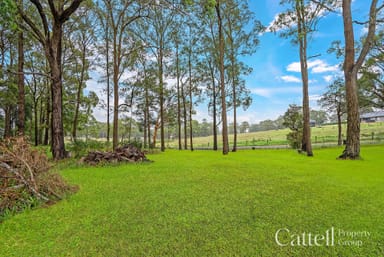 Property 181 Maitland Road, MULBRING NSW 2323 IMAGE 0