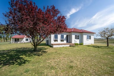 Property 389 Falconer Road, Guyra NSW 2365 IMAGE 0