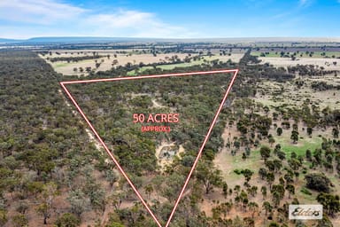 Property Morrl Morrl Forest Road, Wallaloo East VIC 3387 IMAGE 0