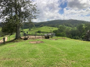 Property 3253 Taylors Arm Rd, Upper Taylors Arm NSW 2447 IMAGE 0