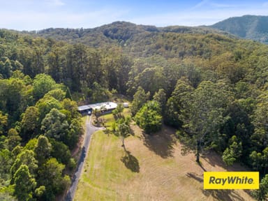 Property 531 Commissioners Creek Road, COMMISSIONERS CREEK NSW 2484 IMAGE 0