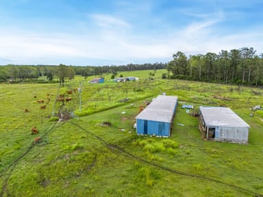 Property 445 Harris Road, Thinoomba QLD 4650 IMAGE 0