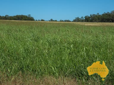 Property 629 Stuart Valley Drive, HALY CREEK QLD 4610 IMAGE 0