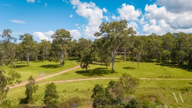 Property 398 Skyring Creek Road, Belli Park QLD 4562 IMAGE 0