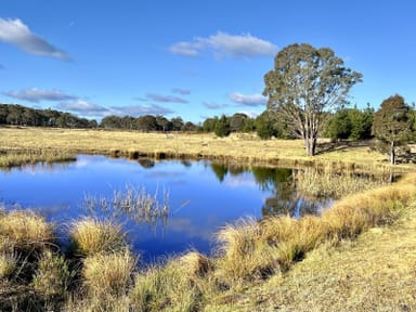 Property 3814 Oallen Ford Road, Windellama NSW 2580 IMAGE 0