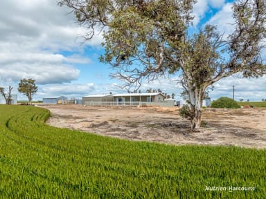 Property 1393 Calingiri-Goomalling Road, CALINGIRI WA 6569 IMAGE 0