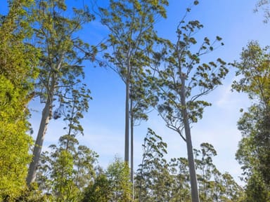 Property Lot 16 Lower Bobo Road, Ulong NSW 2450 IMAGE 0