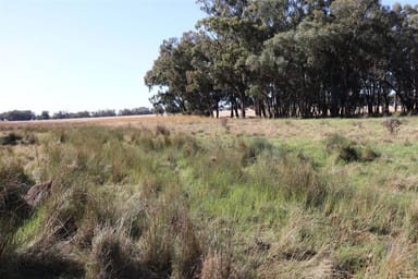 Property 987 Boorr Hills Road, Parkes NSW 2870 IMAGE 0