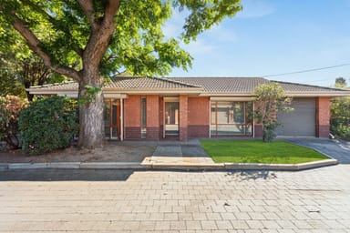 Property 11, 3 Hammond Street, Clarence Park SA 5034 IMAGE 0