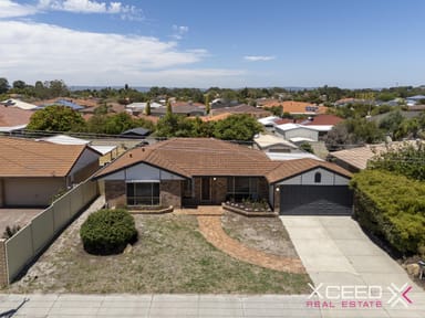 Property 446 Beechboro Road North, Morley WA 6062 IMAGE 0