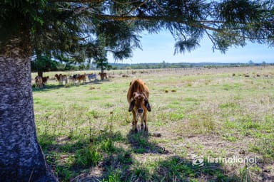 Property 2 Mahoneys Road, Bucca QLD 4670 IMAGE 0