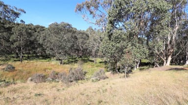 Property 1796 Bendoc-Orbost Road, Bendoc VIC 3888 IMAGE 0