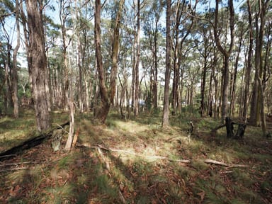 Property Lot 114 Pine Court, Dales Creek VIC 3341 IMAGE 0