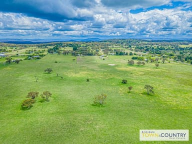 Property Lot 1 The "J.T Frazier Land Estate" Mundays Lane, ARMIDALE NSW 2350 IMAGE 0