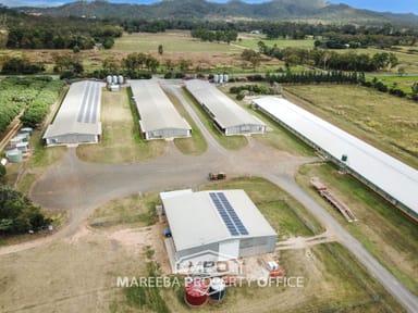 Property 1004 Bilwon Road, BIBOOHRA QLD 4880 IMAGE 0