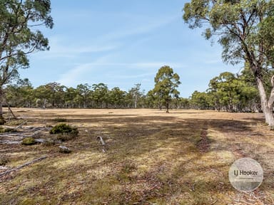 Property 1 Glovers Road, BOTHWELL TAS 7030 IMAGE 0