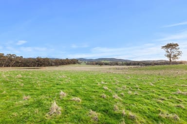 Property 2505 Seymour-Tooborac Road, Tooborac VIC 3522 IMAGE 0