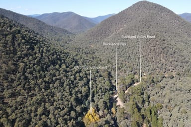 Property CA1/SEC 5 Buckland River Track, Buckland VIC 3740 IMAGE 0