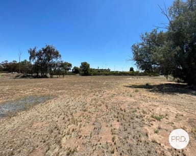 Property Lot 1 & 2 Ussing Street, WOOMELANG VIC 3485 IMAGE 0