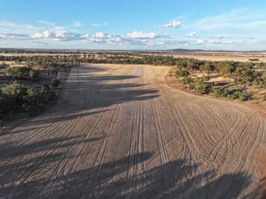 Property South Westbury Goldfields Way, BARMEDMAN NSW 2668 IMAGE 0