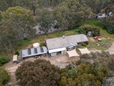 Property 2035 Boorhaman Road, PEECHELBA EAST VIC 3678 IMAGE 0