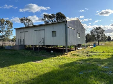 Property 184 Henty Walla Walla Road, HENTY NSW 2658 IMAGE 0