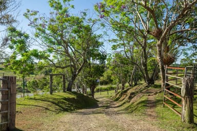 Property 788 Millaa Millaa Malanda Road, MINBUN QLD 4886 IMAGE 0