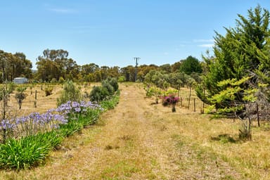 Property 71 Brennan Road, HEATHCOTE VIC 3523 IMAGE 0