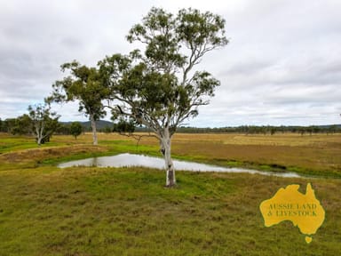 Property 850 Morgans Road, WINDERA QLD 4605 IMAGE 0