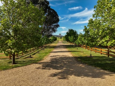 Property 224 Purcells Road, Merrijig  IMAGE 0