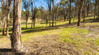 Property . Omeo Highway, Tallangatta VIC 3700 IMAGE 0