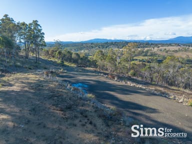 Property 101A Blackstone Road, BLACKSTONE HEIGHTS TAS 7250 IMAGE 0