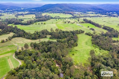 Property 55 Davenport Lane, Jilliby NSW 2259 IMAGE 0