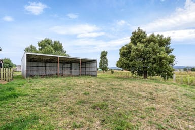 Property 9 Wattle Grove, Winnaleah TAS 7265 IMAGE 0